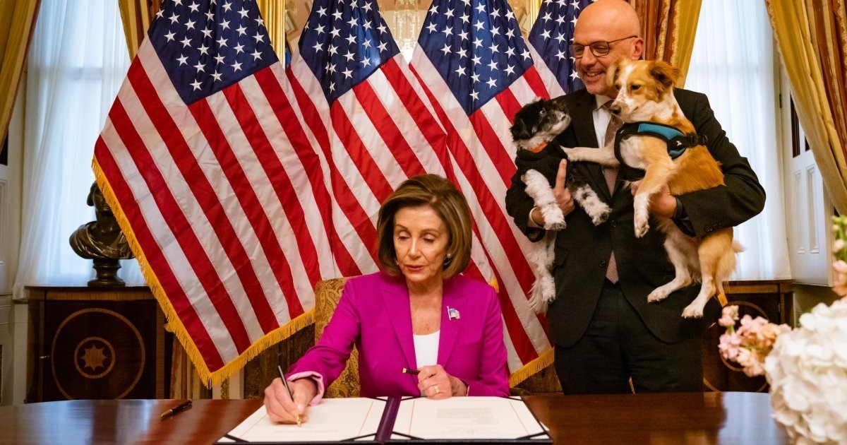New York Pro Bono Team Aids Passage of Federal Law Criminalizing Animal Crushing New York Pro Bono Team Aids Passage of Federal Law Criminalizing Animal Crushing